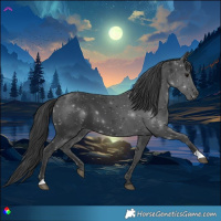 Horse Color:Black 
