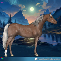 Horse Color:Silver Black 