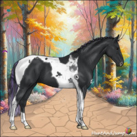 Horse Color:Painted Black Tobiano 
