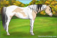 Horse Color:Bay Dun Tobiano Frame 