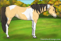 Horse Color:Buckskin Tobiano 
