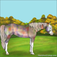 Horse Color:Nacre Chocolate Palomino Onyx Sabino Splash