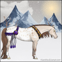 Horse Color:Amber Champagne Dun Sabino Appaloosa 