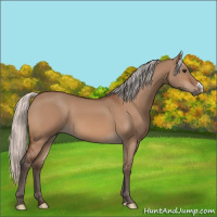 Horse Color:Silver Bay Dun 