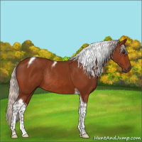 Horse Color:Silver Bay Tobiano Rabicano 