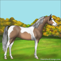 Horse Color:Bay Dun Splash Tobiano 