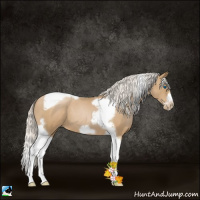 Horse Color:Silver Blue Roan Pearl Tobiano Frame 