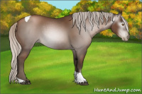 Horse Color:Gray Silver Black Pearl Tobiano 