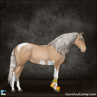 Horse Color:Silver Blue Roan Pearl Tobiano Frame 