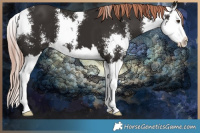 Horse Color:Liver Chestnut Sabino Splash 