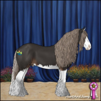 Horse Color:Liver Chestnut Sabino Splash