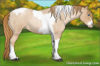 Horse Color:Red Roan Pearl Tobiano Frame 