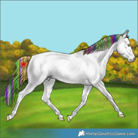 Horse Color:Gray Painted Gold Champagne Roan Dun Tobiano Frame Varnish Rabicano 