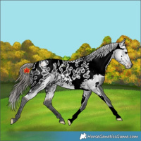 Horse Color:ERROR: UNKNOWN ANOMALY