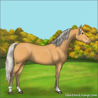Horse Color:Silver Buckskin