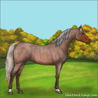 Horse Color:Silver Bay Roan 