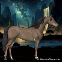 Horse Color:Liver Red Dun Rabicano 