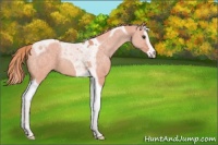 Horse Color:Watercolor Red Dun Splash Tobiano 