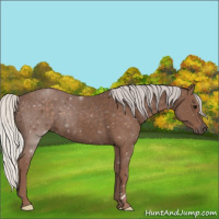 Horse Color:Silver Black 