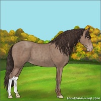 Horse Color:Classic Champagne 