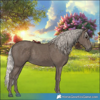 Horse Color:Silver Black 
