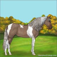 Horse Color:Silver Brown Roan Dun Tobiano 