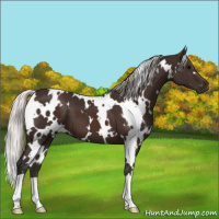 Horse Color:White Spotted Silver Brown 