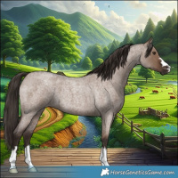Horse Color:Liver Red Dun Roan 