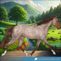 Horse Color:Red Roan 