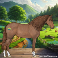 Horse Color:Red Roan 