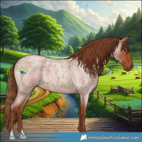 Horse Color:Red Roan 