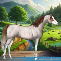 Horse Color:Red Roan Splash 