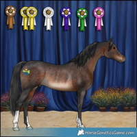 Horse Color:Brown Rabicano 