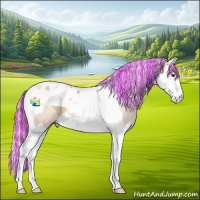 Horse Color:Painted Silver Bay Dun Splash Tobiano  and Silver Classic Champagne Dun Splash Tobiano Appaloosa 