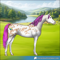 Horse Color:Painted Red Dun Splash Appaloosa 