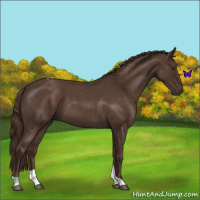 Horse Color:Liver Red Roan Tobiano 
