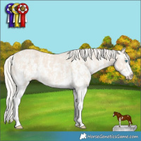 Horse Color:Cremello Sabino  and Cremello Sabino Splash 
