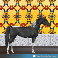 Horse Color:Black Tobiano 