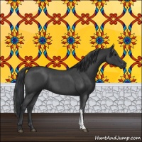 Horse Color:Blue Roan 