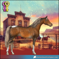 Horse Color:Chocolate Palomino Tobiano Rabicano