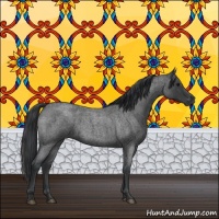 Horse Color:Blue Roan 