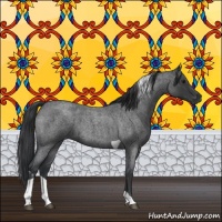 Horse Color:Blue Roan Tobiano 