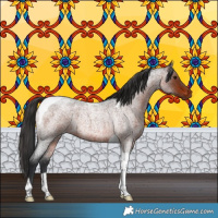 Horse Color:Brown Roan Tobiano 