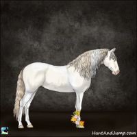 Horse Color:Perlino Dun Tobiano 