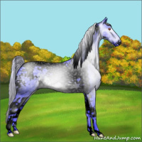 Horse Color:Gray Void Watercolor White Spotted Silver Black Chinchilla Tobiano 