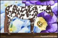 Horse Color:Liver Chestnut Near Leopard 