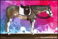 Horse Color:Buckskin Sabino Rabicano