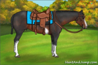 Horse Color:White Spotted Brown Tobiano 