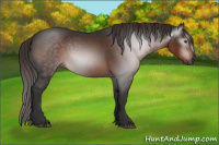 Horse Color:Gray Liver Chestnut Rabicano 
