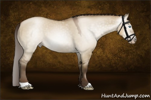 Horse Color:Gray Smoky Grullo Pearl 